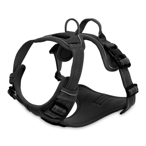 สายรัดอกสุนัขแบบไม่รัดคอ ปรับได้ สะท้อนแสง บุตาข่ายระบายอากาศ เสื้อกั๊กสัตว์เลี้ยง ห่วงรูปตัว D คู่ หลายสี ขายส่ง รับผลิตแบบ OEM พร้อมสกรีนโลโก้ - Product Image 6