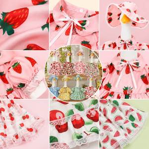 Garden Goose Outfit Strawberry Print <b>Dress</b> Lace Trim Sun Hat Outdoor Lawn Porch Decor - Product Image 3