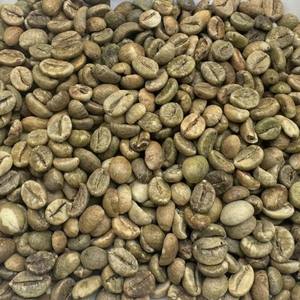 Grains de café Robusta durables entièrement lavés, tailles 13, 14, 16, 18, 20, provenant directement du Vietnam - Product Image 3