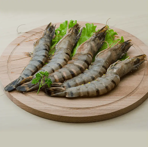 Camarones Tigre Congelados al por Mayor con Textura Carnosa de Calidad Premium, Procesamiento Limpio, Grados Uniformes y Almacenamiento Conveniente - Product Image 4