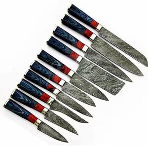 Couteaux de chef Damas faits main de haute qualité, 10 pièces, avec manche personnalisé, multi-usages et écologiques - Product Image 4