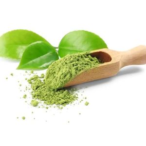 Proveedor Mayorista de Polvo de Matcha Ceremonial de Vietnam - Product Image 3