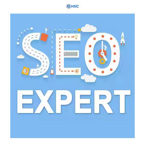 Services professionnels d'optimisation SEO des pages, développement dynamique de sites Web pour Mac, marketing numérique fiable, optimisation de la recherche - Product Image 6