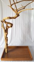 Perchoir pour oiseaux en bois de café Vietaquaticwood, forme spirale, durable, écologique, décoration en bois naturel pour l'intérieur et l'extérieur, toutes saisons