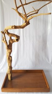 ที่นั่งนกไม้กาแฟ Vietaquaticwood รูปทรงเกลียว ทนทาน เป็นมิตรกับสิ่งแวดล้อม ตกแต่งด้วยไม้ธรรมชาติ สำหรับใช้ในบ้านและนอกบ้าน ทุกฤดูกาล - Product Image 2