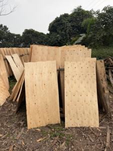 Placage de noyau d'eucalyptus découpé rotativement, durable et écologique, longueur 1270 mm, design industriel pour l'industrie du contreplaqué, humidité 10-12% - Product Image 6