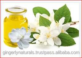 Indian Exporter of Hedychium <b>Oil</b> - Product Image 3