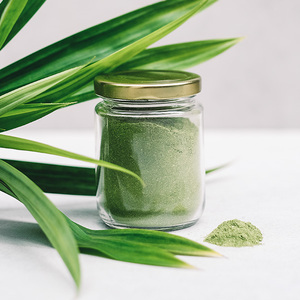 Fabricante de Polvo de Hoja de Pandan Natural de Alta Calidad - Control de Calidad Confiable para Mercados de Exportación - Product Image 1