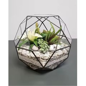 Terrario Metálico Moderno para Exhibición, Macetero de Vidrio Decorativo para Plantas de Interior, Adorno para el Hogar - Product Image 1