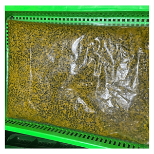 Purée de fruit de la passion surgelée 100% naturelle, avec et sans pépins, en vrac, conservation par l'eau - Product Image 6