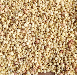 Wholesale Bulk Fresh White Quinoa Rich Premium Quality Stock For Large Volume B2B Trade Orders - Product Image 6