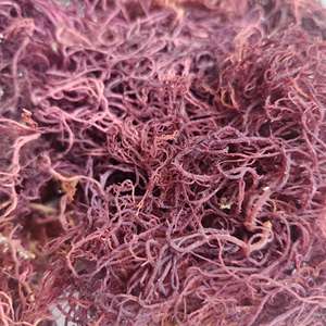 วัตถุดิบออร์แกนิก สาหร่ายทะเลแห้ง Eucheuma Cottonii สีทองม่วง สาหร่ายธรรมชาติ ซูเปอร์ฟู้ดวีแกน ขายส่ง - คุณเกรซ - Product Image 5