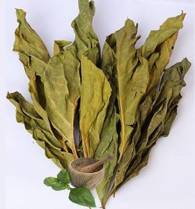 Hojas de Noni Secas Premium – Hojas de Noni Naturales para Uso Herbal y Libres de Químicos // Mr.Tom - Product Image 5