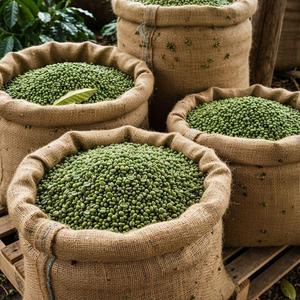 เมล็ดกาแฟโรบัสต้าพรีเมียม 100% คัดสรรคุณภาพสูง เกรด AA/AB บรรจุด้วยมือจากอินเดีย - Product Image 3