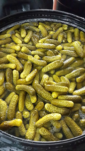 Concombre mariné concombre récolté du Vietnam concombre mariné trempage traditionnel prix de gros adapté à l'approvisionnement en restaurant - Product Image 2