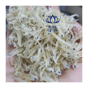Anchois Séchés Écologiques de Qualité Supérieure IQF – Meilleure Vente, Riche en Protéines, Idéal pour Soupes et Bouillons – Prix Export - Product Image 5