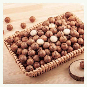 Nueces de macadamia de calidad alimentaria, la mejor calidad, baratas, en venta - Product Image 3