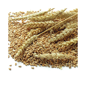 Arroz Integral Premium, Granos de Arroz Sin Moler para Distribución Mayorista y Suministro de Exportación Internacional - Product Image 6