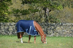 Mantas Ecuestres para Caballos en Oferta, Mantas de Establos Acolchadas Personalizadas, Mantas de Invierno para Caballos, Nuevo Diseño, Equipo para Establos - Product Image 2