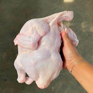 ไก่แช่แข็งแบบ IQF บรรจุภัณฑ์สุญญากาศ เพื่อรสชาติสดใหม่และคุณภาพที่เชื่อถือได้ คัดสรรชิ้นส่วนอย่างพิถีพิถันสำหรับการขายปลีก/บริการอาหารและการปรุงอาหารประจำวัน - Product Image 1