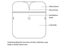 Dôme en verre borosilicate transparent fait main moderne pour plantes éco-responsables, terrarium miniature créatif pour bureau, collection de coupelles