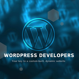 Sistema Operativo para Desarrolladores de WordPress - Versión Internet en Stock - Product Image 1