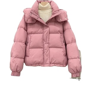Nouvelle veste d'hiver pour femmes, manteau décontracté en duvet, surdimensionné, à capuche, en coton doux et chaud, doudoune pour la neige - Product Image 3