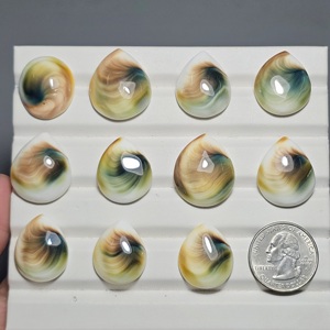 Gemas de concha de operculum natural para la fabricación de joyas, lote de gemas de concha de operculum al por mayor para la fabricación de joyas - Product Image 2