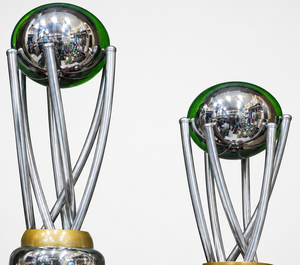 Stainless Steel Sports <b>Trophy</b> <b>Cup</b> Customized Achievement Award Display Durable Premium Quality - Product Image 2