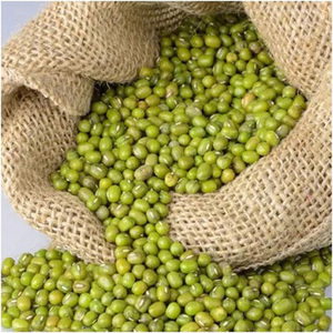 Precio al por mayor de frijoles mung verdes, frijoles mung verdes de primera calidad, frijoles mung verdes al por mayor a precio económico - Product Image 6