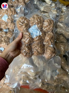 Jouet en forme de boule en coque de noix de coco naturelle - Jouet à mâcher durable et écologique - Boule biodégradable pour le soin dentaire des animaux de compagnie - Product Image 2