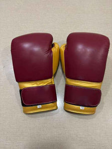 Équipement d'entraînement professionnel de Muay Thai et de kickboxing 2026, gants de boxe en cuir rouge et or, meilleur choix pour les arts martiaux - Product Image 2