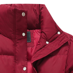 Veste d'hiver rembourrée en coton de haute qualité pour femmes, imperméable, col montant, vestes matelassées pour femmes - Product Image 4