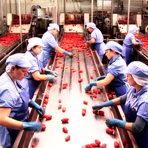 Sốt Mì Ống Bella Parma Ý Chất Lượng Hàng Đầu Với Cà Chua & Húng Quế Trong Jar 12X350G Không Thêm Muối Giá Tốt Nhất - Product Image 4