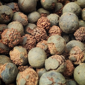 Cuentas de Rudraksha Marrón Natural para Mala, para Pooja, Meditación y Oración, Venta al Por Mayor de la India, Sigma Exports, Modelo 30 - Product Image 5