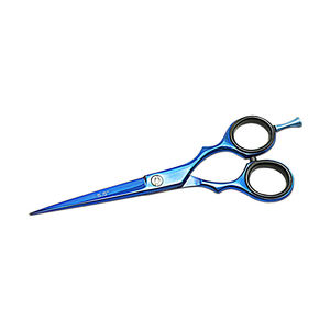 Ciseaux de coiffure professionnels de 5,5 pouces en acier inoxydable avec lames à bords rasants, ergonomiques, amovibles, pour droitiers - Product Image 1