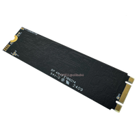 SSD M.2 SATA Internal Kecepatan Tinggi 1TB Kapasitas Asli untuk Desktop yang Dapat Disesuaikan