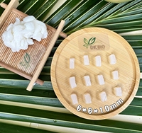 Industriële Ruwe Nata De Coco Materiaal Hoge Zuiverheid Kokosgel DK BIO Kosher Halal ISO 22000 Gecertificeerd Wit Sap Merk Jelly