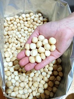 Voedzame Macadamianoten Met Schaal Of Pitten Concurrerende Prijs Van Betrouwbare Vietnam-Leverancier 84 326055616