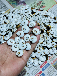 Cabujón de Concha de Ojo de Shiva 100% Natural, Precio al por Mayor, Alta Calidad, Gema de Concha de Ojo de Shiva, Cabujón Semiprecioso para Joyería - Product Image 3