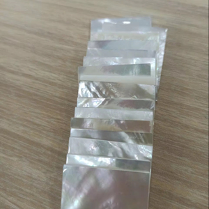 Piezas de nácar natural, fragmentos de concha de nácar para artesanía, decoración de joyería y suministro al por mayor, Vietnam - Product Image 1
