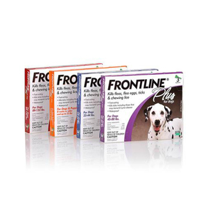 F-r-o-n-t-l-i-n-e P-l-u-s Fórmula Spot On para el Control de Pulgas en Perros y Gatos, Oferta al por Mayor - Product Image 5