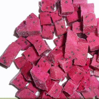 Premium IQF Diepvries Rode Pitaya Blokjes Levendige Roze Fruit Bulk Leverantie voor Bubble Tea Smoothies en Foodservice