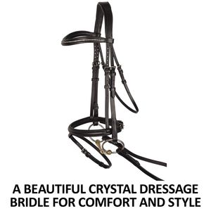 Premium quality English saddle style horse bridle and <b>halter</b> made from genuine leather for outdoor equestrian use - Product Image 3