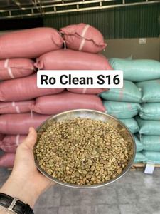 Grains de café vert Robusta vietnamien de qualité AA S16, polis ou non polis, en vrac - Product Image 5