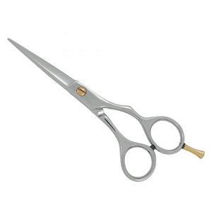 Tijeras de Peluquería Profesionales de Acero Inoxidable, Color Plateado, con Tornillo Dorado, Tijeras de Salón Premium para Cortar el Cabello - Product Image 1