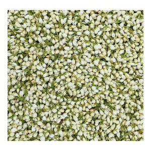 Fresh Natural Vietnam Jasmine Loose Leaf Flavor <b>Tea</b> Organic & Health Bulk for <b>Tea</b> Blends Halal Certified Gift <b>Box</b> Packaging - Product Image 6