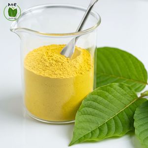 <b>Best</b> Seller AuE Thai Herbal MIT 80% Leaf Extract Powder Solvent Extracted Pharmaceutical Grade Vacuum Packed Planting - Product Image 3