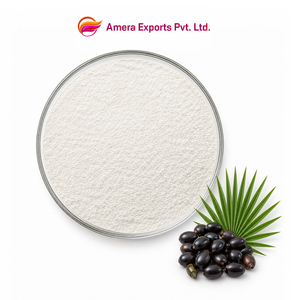 ผงสกัดเมล็ดซอว์พาล์มเมตโต OEM แบบขายส่ง ผลิตภัณฑ์เสริมอาหารสมุนไพรเซเรโนอา เรเพนส์ วัตถุดิบสกัดด้วยตัวทำละลาย ผู้ผลิตวัตถุดิบ - Product Image 1