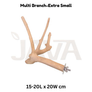 ไม้กาแฟธรรมชาติจากอินโดนีเซีย ยี่ห้อ Javawoood เป็นมิตรกับสิ่งแวดล้อม ทนทาน คุณภาพสูง สำหรับนก ขนาด XS - Product Image 2